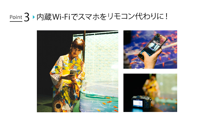 point3:内蔵Wi-Fiでスマホをリモコン代わりに！