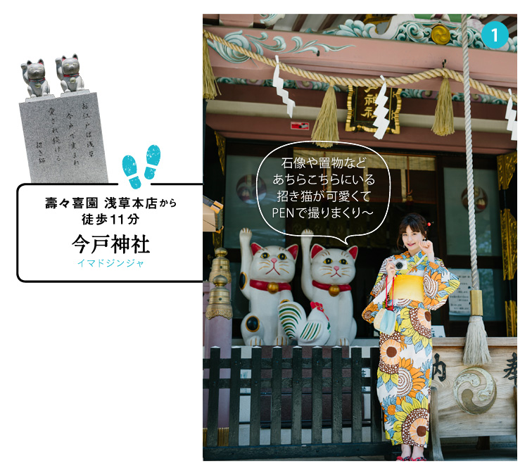 壽々喜園 浅草本店から徒歩11分今戸神社：石像や置物などあちらこちらにいる招き猫が可愛くてPENで撮りまくり～